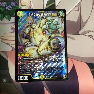 Knight of the Shield of the Absolute."