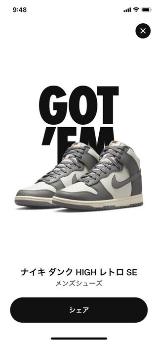 Nike Dunk High Retro SE VNTG 26cm