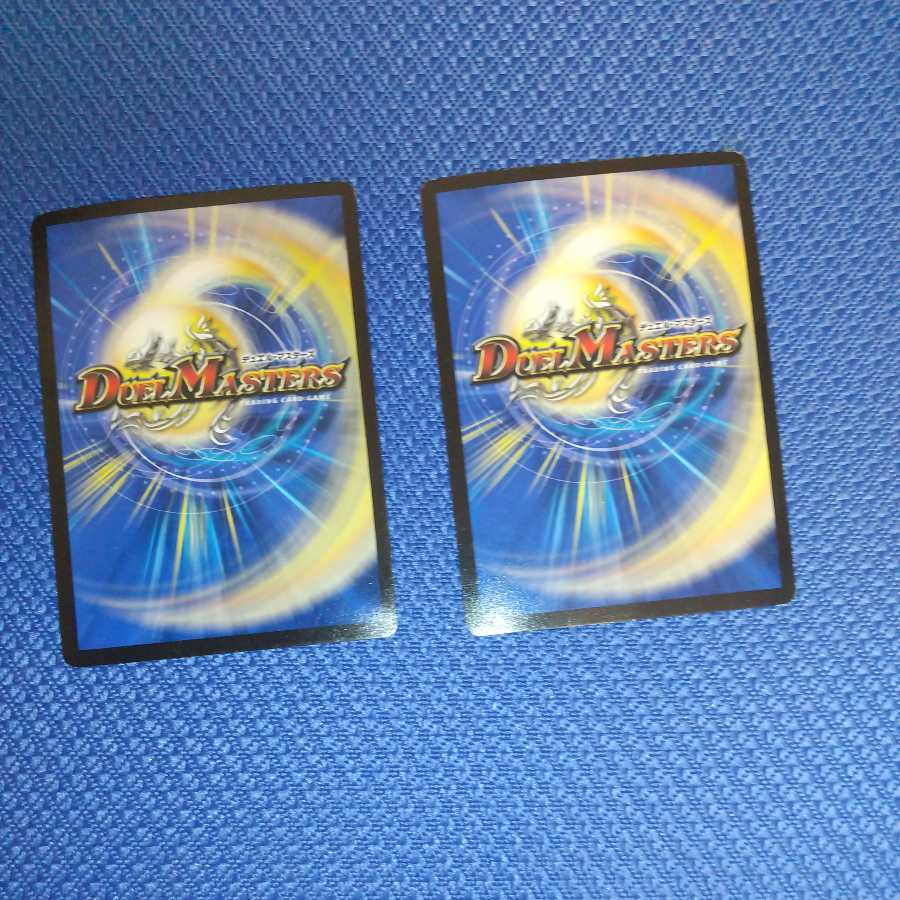 闘争類拳嘩目 ステゴロ・カイザー｜お清めシャラップ