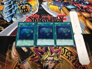 強欲なウツボ ノーマル 3枚セット