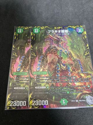 Brachio Ryuju Silver Treasure