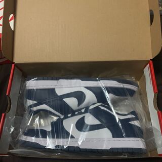 Nike Dunk Low Valerian Blue 26cm