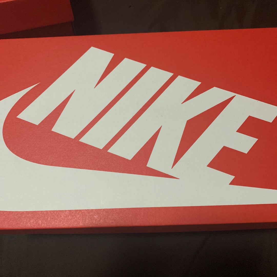 Nike Dunk Low Valerian Blue 26cm