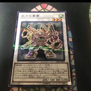 遊戯王　武力の軍奏　ノーパラ　パラレル