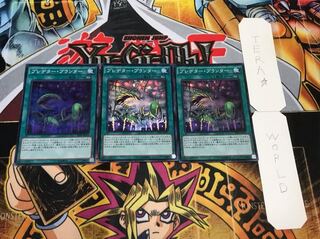 プレデター・プランター スーパー 3枚セット