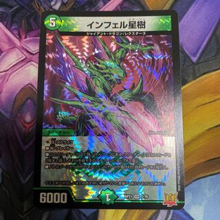 Infelix star tree (species of sedge, Infelix infertilis)