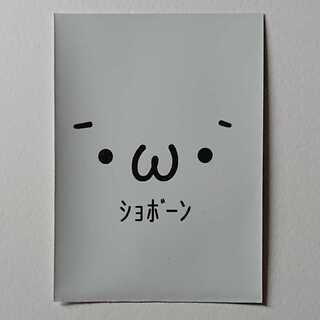 ショボーン スリーブ 52枚