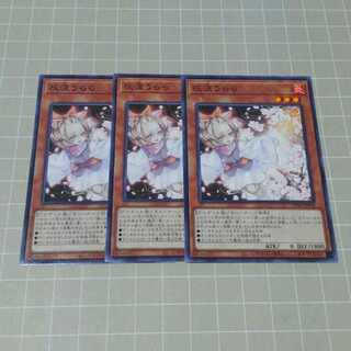 Ash Blossom & Joyous Spring 3 Normal