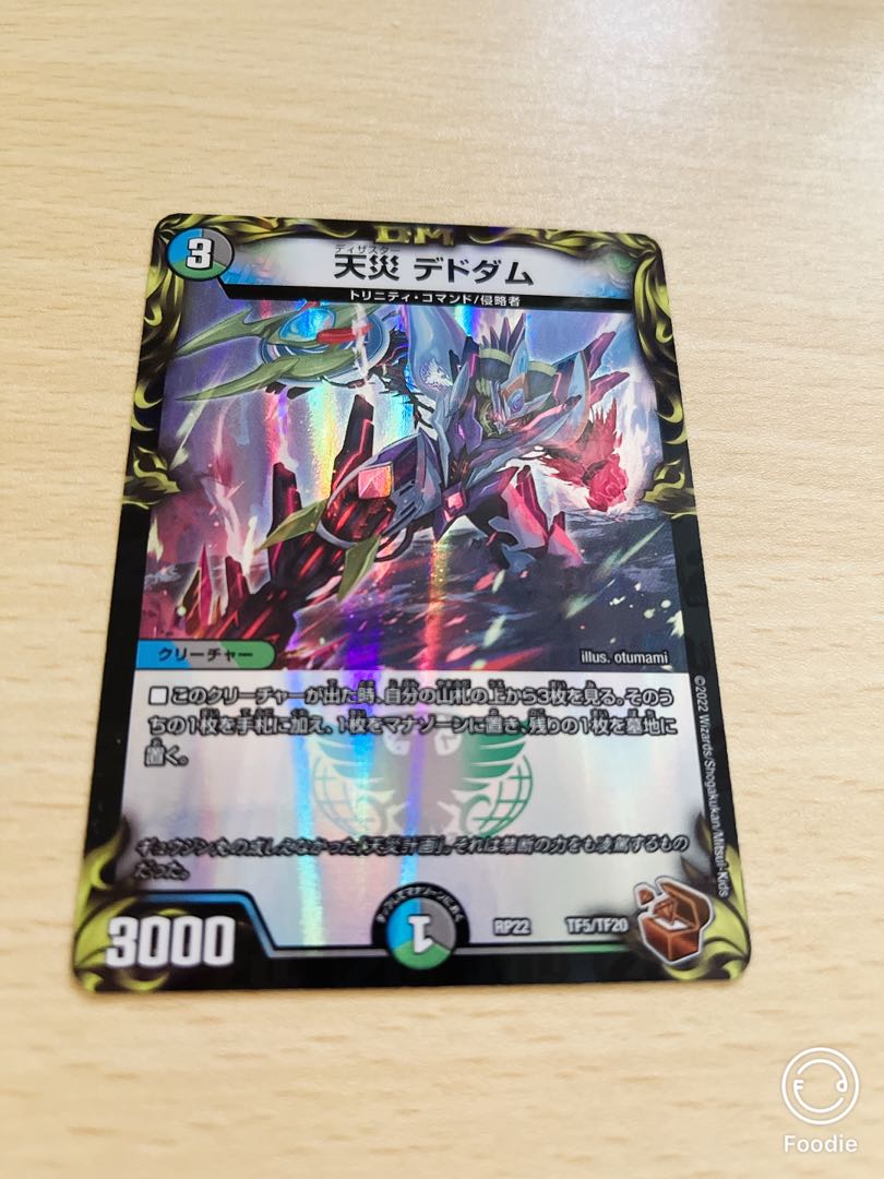 Natural Disaster Dedham