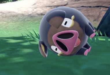 ダイエット1ヶ月チャレンジ オリバ