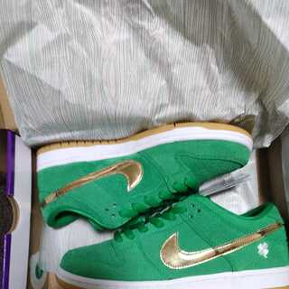 NIKE SB DUNK low pro 26cm