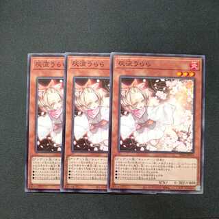 Ash Blossom & Joyous Spring Normal 3-piece set