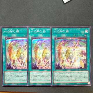 Bridge of the Heart Secret 3-piece set