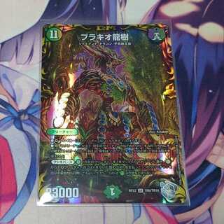 Brachio Ryuju Silver Treasure