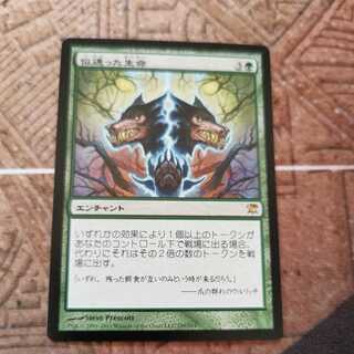 Parallel Lives Japanese