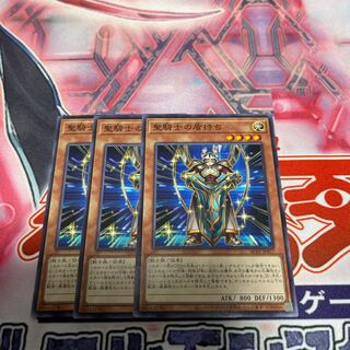 Noble Knight's Shield-Bearer Normal Set of 3