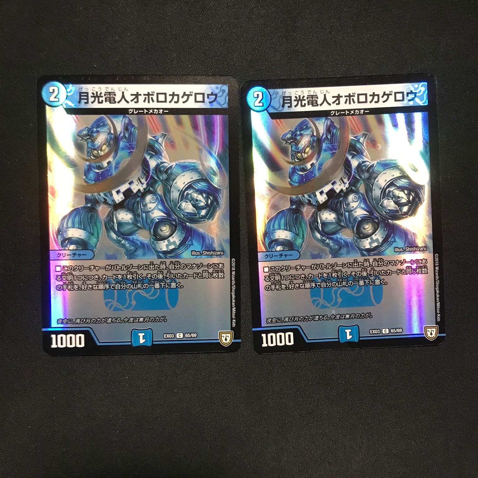 月光電人オボロカゲロウ ホイル二枚