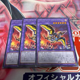 Dinolfia stealthbegia, rare, set of 3