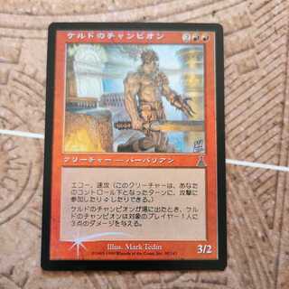 ケルドのチャンピオン　日本語　foil
