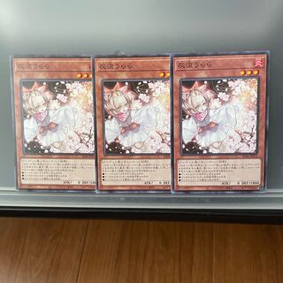 Ash Blossom & Joyous Spring Normal 3