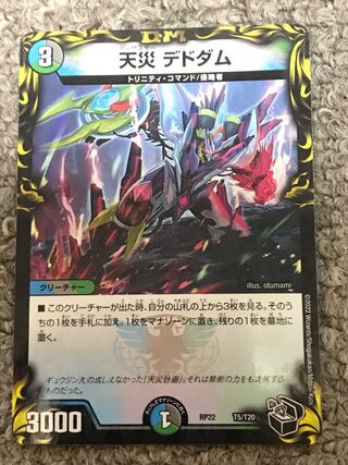 Natural disaster Dedham 1枚