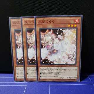 Ash Blossom & Joyous Spring Normal 3-piece set