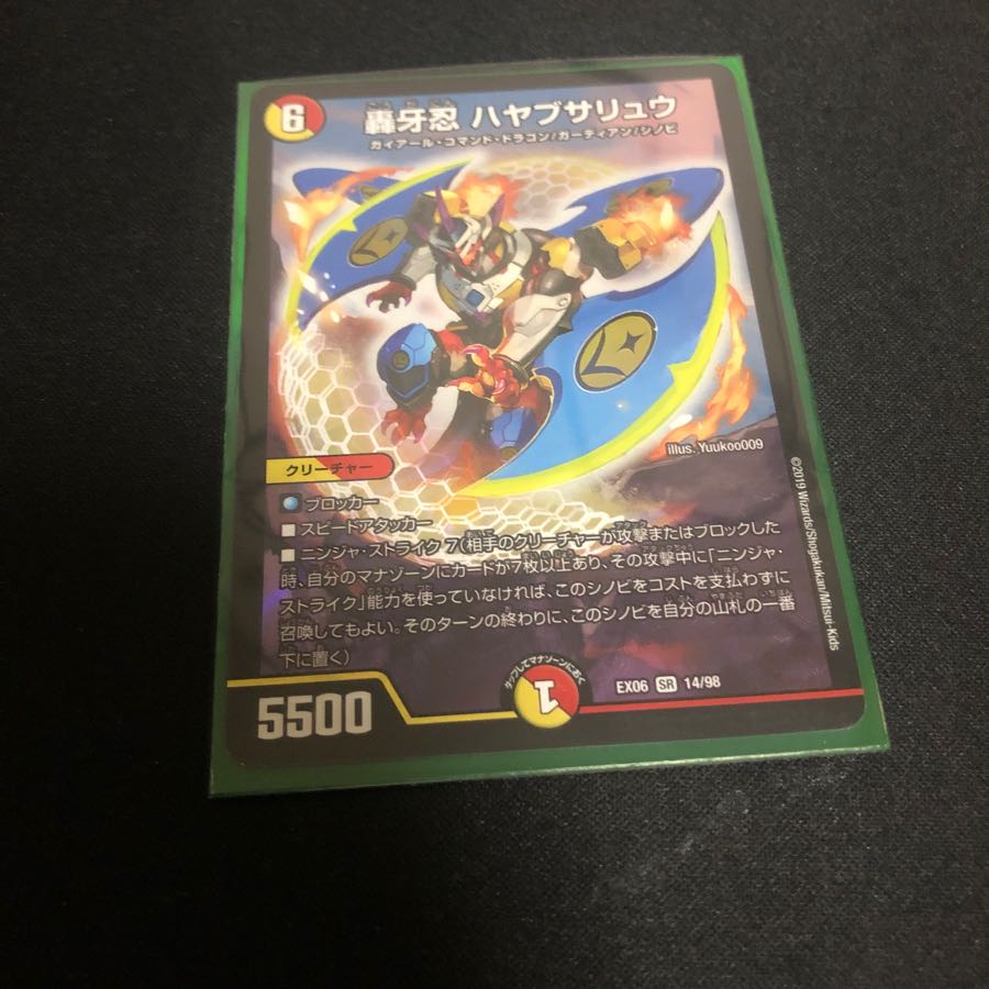 ハヤブサリュウ