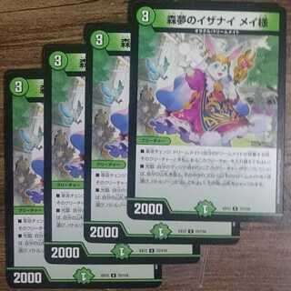 Izanai of Forest Dreams Dear Rosa