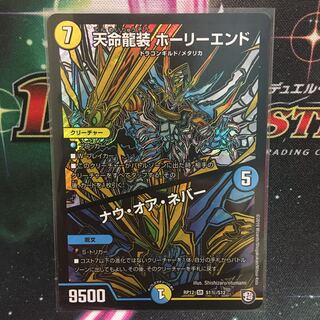 天命龍装ホーリーエンド/ナウ・オア・ネバー