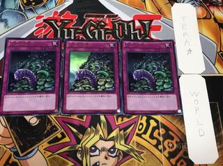 針虫の巣窟 ウルトラ 3枚セット