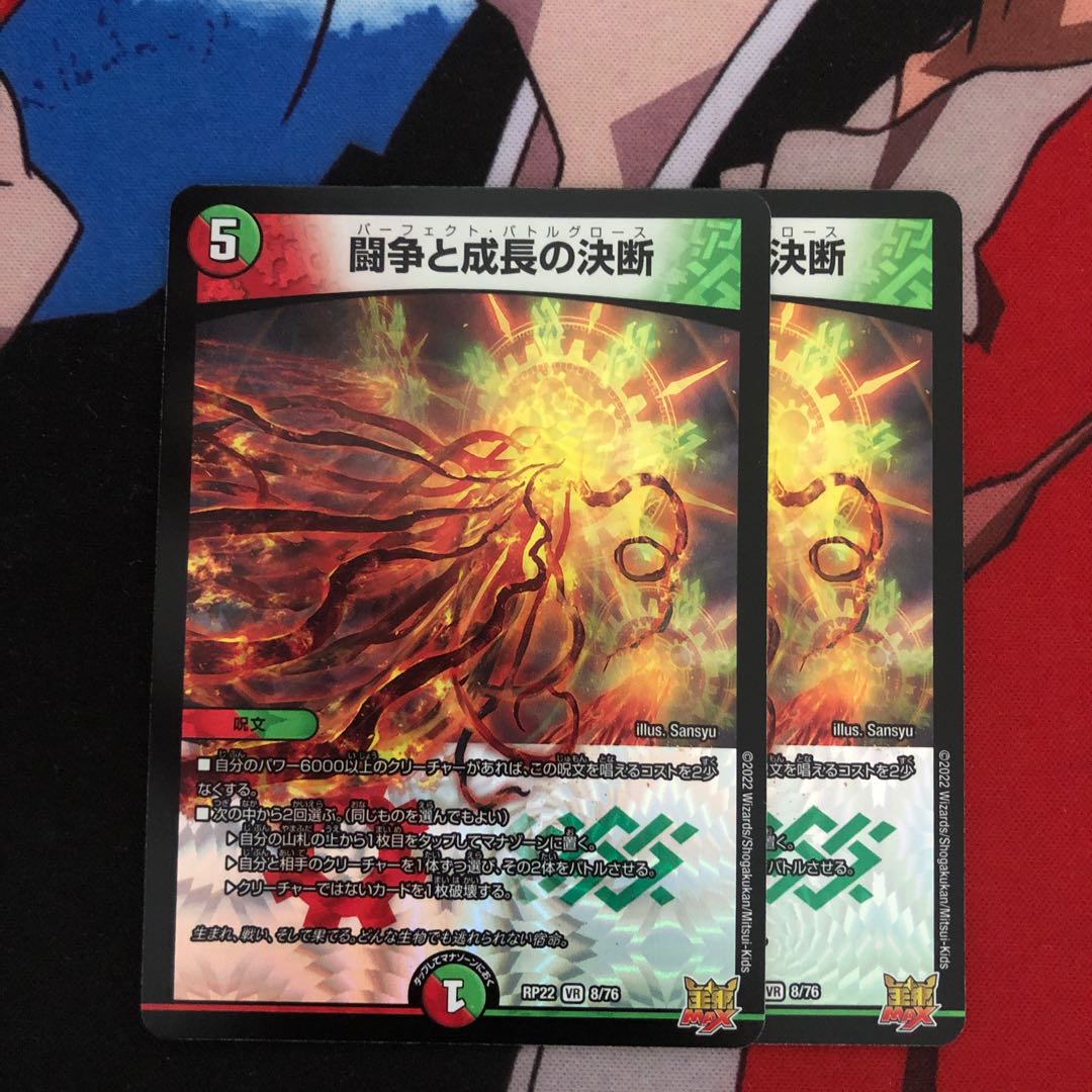 Fighting Conflict and Growth Decisions