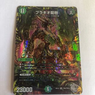 Brachio Dragon Tree (20th Silver Treasure)