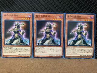 【ぽぽたん】遊戯王 8739 墓守の霊術師 3枚 ノーマル