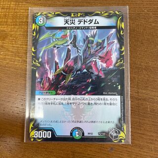 Natural Disaster Dedom (20th Black Treasure)