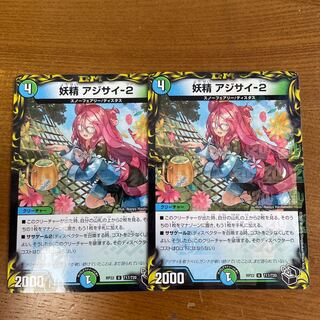 Fairy Hydrangea-2 (20th Black Treasure)