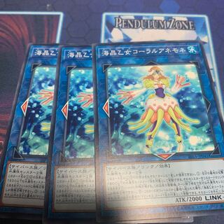 海晶乙女コーラルアネモネ