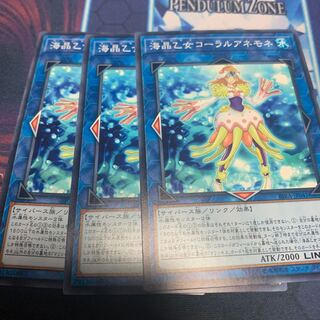 海晶乙女コーラルアネモネ