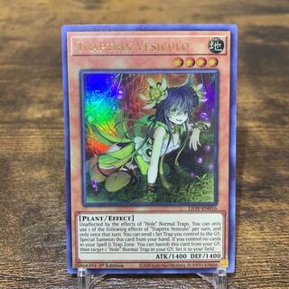 遊戯王【英語版】ジーナの蠱惑魔 ウル