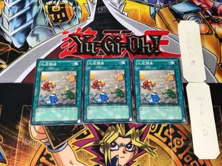 化石調査 ANPR 1 ノーマル 3枚セット てら