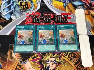 化石調査 ANPR 2 ノーマル 3枚セット てら