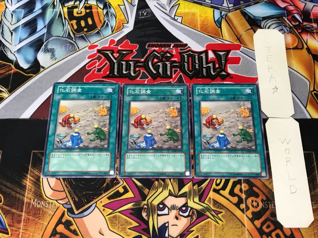 化石調査 ANPR 3 ノーマル 3枚セット てら