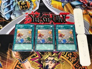 化石調査 ANPR 3 ノーマル 3枚セット てら