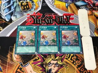 化石調査 ANPR 5 ノーマル 3枚セット てら