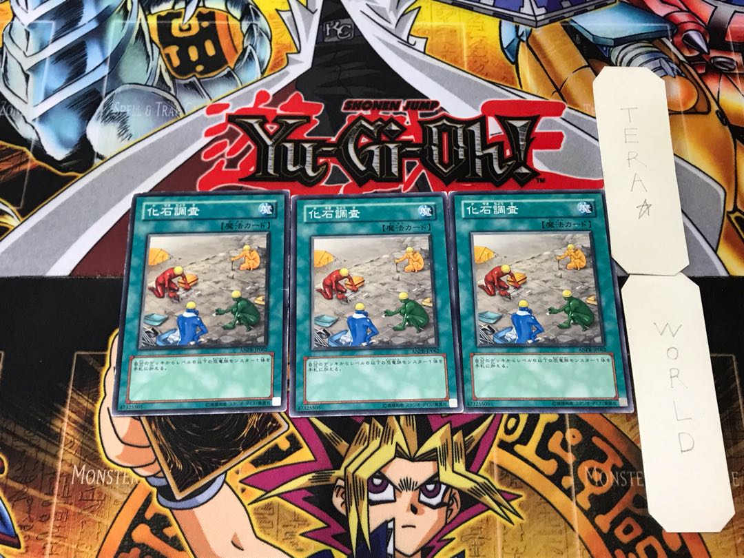 Fossil Dig ANPR 6 Normal Set of 3 Tera