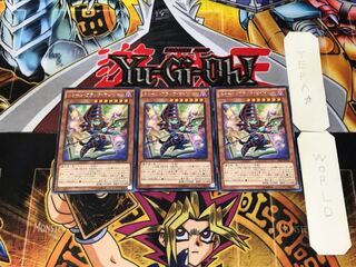 Toon Dark Magician 7 rare, set of 3 Tera.
