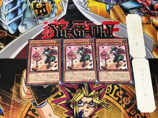 Madolche Messengelato 3 rare, set of 3 tera