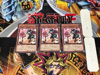 Madolche Messengelato 6 rare, set of 3 tera