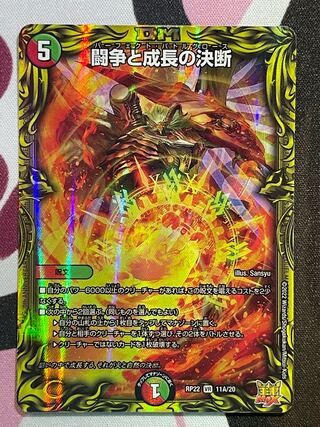 Fighting Conflict and Growth Decision (20th Rare Spec.)