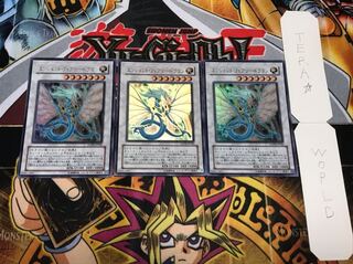 エンシェント・フェアリー・ドラゴン ウルトラ 3枚セット