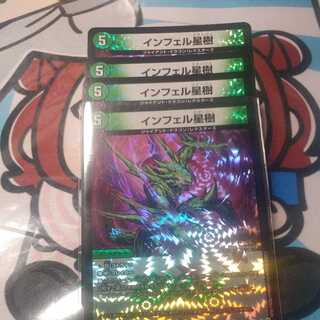 Infelix star tree (species of sedge, Infelix infertilis)